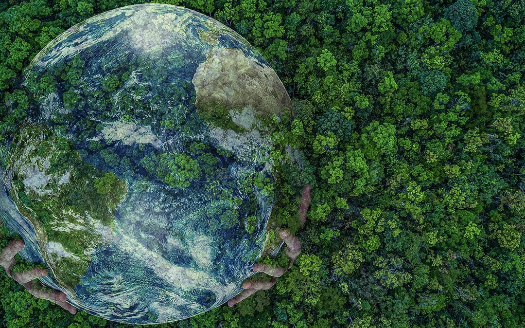 5 formas sencillas de proteger nuestro medio ambiente y salvar el planeta